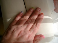 /album/fotogalerie/cimg0019-jpg/
